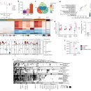 DS바이오텍 이미지