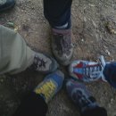 소샘농장 이미지