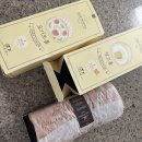 일상(6) 대전 성심당 망고 뽀개기/송도 센트럴파크 피크닉/동대문 맛집 송정식당가기 등등