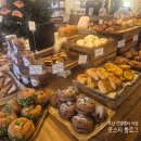 모텔 몽 | [부산 사상] N번째 방문 베이커리 찐맛집 몽벨쉘터 사상점 <또포장2> 신상 빵 내돈내산