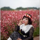 대장농원 Daum카페