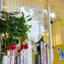 까까앤독 이미지