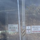 둔터로 | ☕️카페코스모스 이천 브런치카페 후기｜주차팁까지 완벽한 반려견 동반카페🐶💛