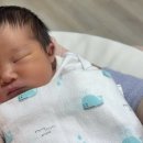 제주 메종포레 산후조리원 이미지