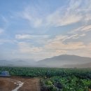 덕고개농장 이미지