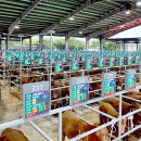 거창축산업협동조합 이미지