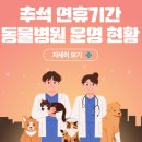 티플러스동물메디컬센터 이미지