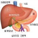 세븐웰약국 이미지