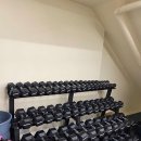 크로스핏 코알라 이미지