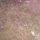 깊은산속민박 이미지