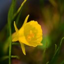 마중가는길 이미지