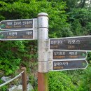 국립아세안자연휴양림 4인실 캄보디아 객실 숙박, 마장호수 출렁다리에서 가까운 가성비 숙소