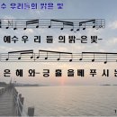 밝은빛 이미지