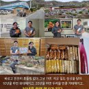 윤토마
