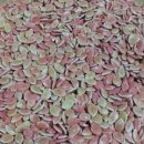 서당농장 이미지