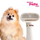 펫살롱 댕댕 이미지