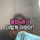 신세계카센터 | 카센터 물건을 왜 욕실에? 😱 청소업체 친구가 비밀이라며 알려준 '이것'의 정체 (광고아님 내돈내산)