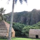 Hawaii PT 이미지