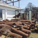 행정사태성사무소 이미지