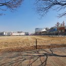 희망나무심기6 이미지