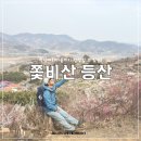 싸릿말 할머니 경로당 | 쫓비산 등산 광양 매화마을 축제 감상하기 홍쌍리 청매실농원 평일 후기