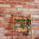 쉬어가다, 제주 864 이미지