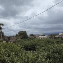 테마민박가든 이미지