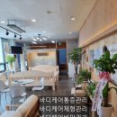 722바디케어통증관리