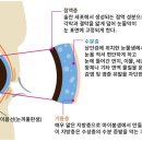 이층엔약국 이미지