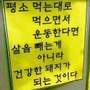 섬마을생선굽는집
