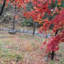 회문산자연휴양림 이미지