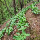 소을농장 이미지