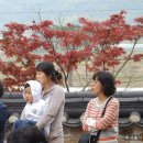 몰운대농장 이미지