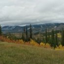 행정사 조재현 사무소 이미지