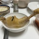 남산동물병원 | 고양 스타필드 스몹 / 고소공포증 갖고 있는 나의 후기와 일상