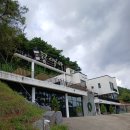 콩매아 이미지