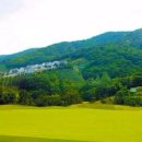 마우나오션 콘도미니엄 이미지