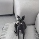 영주장례식장 이미지