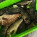 남양주 실내 바다낚시터 이미지