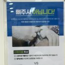 서리풀성모정형외과의원 이미지