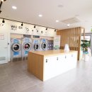 동상세탁 이미지