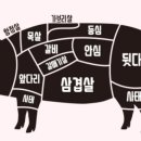 춘천뒷고기 이미지
