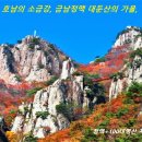 ＜詩 수필＞- 가을 나그네 - 美風 김영국!.. 이미지