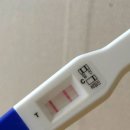 분당연세산부인과의원 이미지