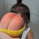 경봉마트 이미지