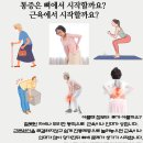 365금손약손한의원 이미지