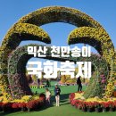돼지천만마리 | 익산 천만송이 국화축제 포토존 불꽃놀이 후기
