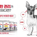 애니멀케어 이미지