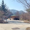 포도원 민박 이미지