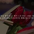 평창약수송어회 이미지